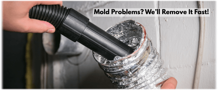 Air Duct Mold Removal in Baltimore MD