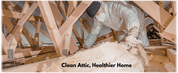 Attic Cleaning Baltimore MD
