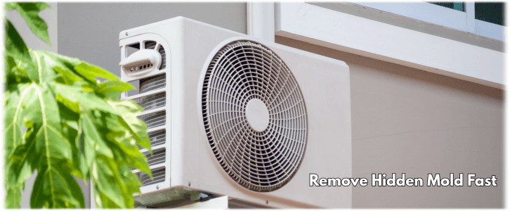 HVAC Mold Removal Baltimore MD